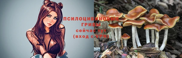 MESCALINE Вязники