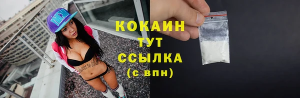 ECSTASY Вяземский