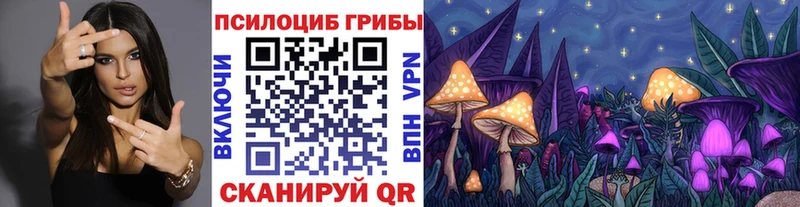 Псилоцибиновые грибы Psilocybe  Купить  Кунгур 